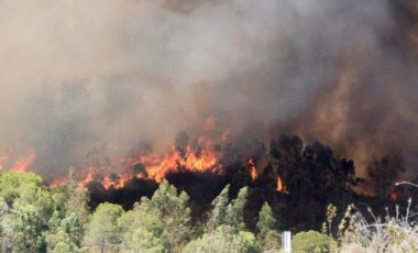 Son Dakika: Fethiye'de yıldırım düştü, orman yangını çıktı