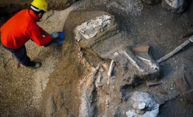 Pompeii’de ilk kez yanardağ kurbanına genom dizilimi yapıldı: 'Anadolu kökenli olabilir'