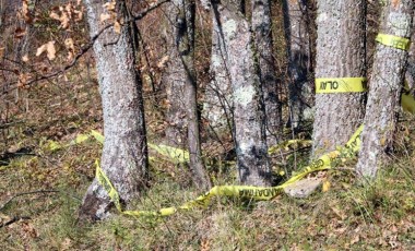 Zonguldak'taki kesik baş cinayetinde 11 gözaltı