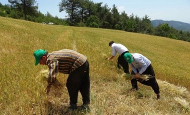 Adanalı çiftçi: Köylerdeki imkan arttırılsa daha çok üretim olur