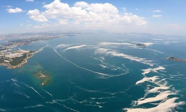 Marmara Denizi'nde müsilaj tespit edildi: 'Tedbir almamız lazım'