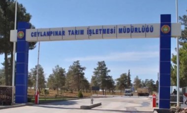 TİGEM Şanlıurfa İşletmesi'nde sendika üyesi işçilere mobbing iddiası