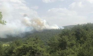 Bolu’da orman yangını