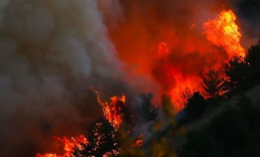 Düzce Valiliği'nden 'ateş yakma ormanı koru' çağrısı