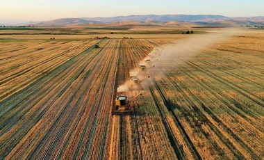 Gübre fiyatları bir yılda yüzde 342 arttı: 'Çiftçi eskisi kadar gübre atamadı'