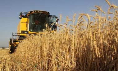 İktidar, hasat başlamasına karşın buğday fiyatını açıklayamıyor