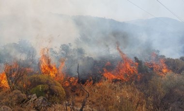 Muğla Dalaman'da orman yangını