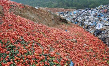 'Sofraya uygun olmadığı' söylenmişti: Çöpteki sebzelerin paylaşımına suç duyurusu