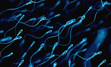 Sağlık araştırması: Vücudumuza karışan bazı kimyasallar erkeklerde sperm kalitesini düşürüyor