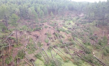 Kütahya'da fırtına: Ormanda yüzlerce ağaç devrildi