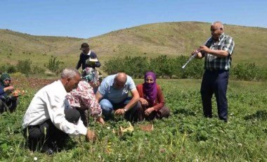 Gezin çileği'ne yüzde 50 zam