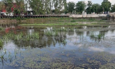 Edirne'nin can suyu Tunca Nehri bataklığa döndü (02 Haziran 2022) (Video Haber)