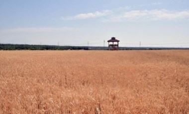 Antalya'nın buğday tarlalarında hasat zamanı