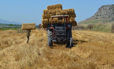 İktidar buğdaya maliyet kadar fiyat önererek üreticiyi çıkmaza soktu