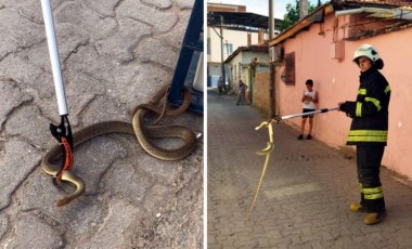 Ayakkabılığa giren '1,5 metrelik' yılanı itfaiye yakaladı