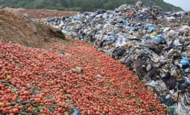 Sosyal medyada gündem olmuştu: Antalya'da 'çöpe dökülen' sebzelerle ilgili açıklama