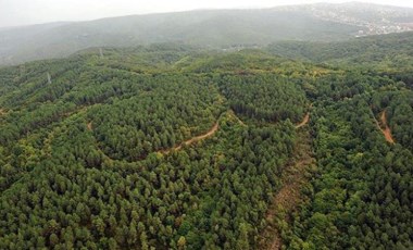 Prof. Dr. Erdoğan Atmış: İktidarlarını korumak için doğayı betona kurban ettiler