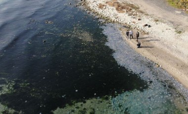 İstanbul’da Marmara Denizi’nde ‘Pusula Deniz Anası’ tehlikesi