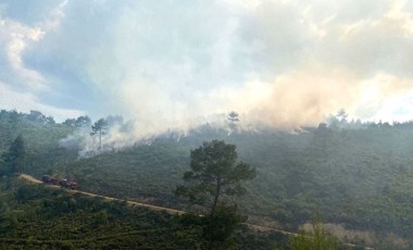 Manisa'da orman yangını (09 Haziran 2022)