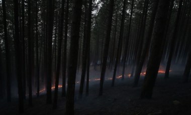 Kaz Dağları'nda çıkan yangın kontrol altına alındı