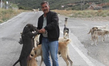 Emekli olunca kendisini sokak köpeklerine adadı