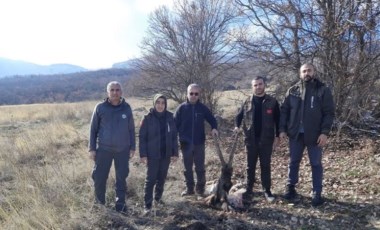 Kaçak yaban keçisi avlayan 4 kişi, kan izlerinden yakalandı