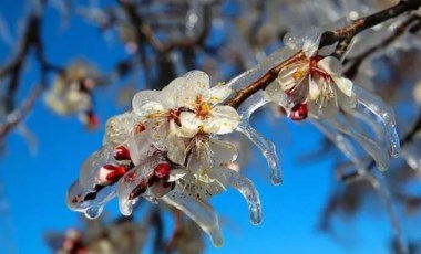 Meteoroloji'den ‘zirai don’ uyarısı