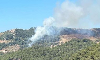 İzmir'de ormanlık alanda yangın