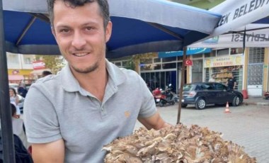 Kestane toplamak için gitti, dev mantar ile geri göndü! Tam 17 kilo...