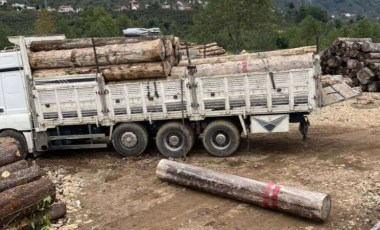 Acı olay... Halat açıldı, tomruğun altında kaldı!