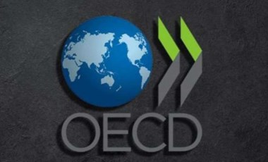 OECD: Metropol ve kırsal arasında gelir eşitsizliği büyüyor