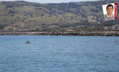 Gökçeada'da özelleştirme: Kuzu Limanı da satışa çıkacak