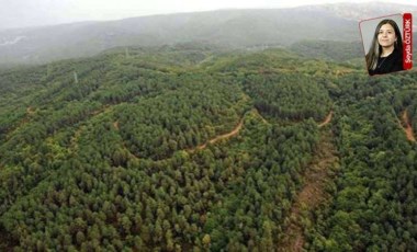 İktidar, iki ayda 224 maden projesine daha onay verdi