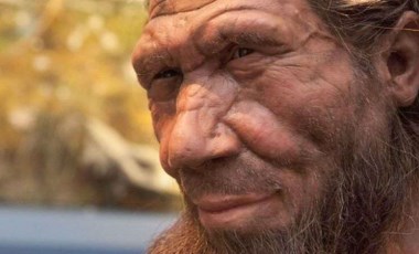 Neandertaller 