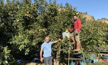 Manisa'dan dünyaya satılıyor! Yaşı 15, kurusu 200 TL... Taleplere yetişemiyorlar