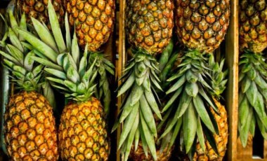 Bağışıklık sisteminin bir ananas ağırlığında olduğu keşfedildi