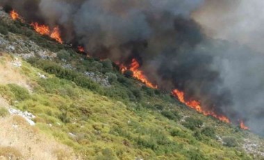 Son Dakika: Muğla’da orman yangını!