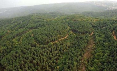 Kayyum yönetimindeki Koza Altın maden çalışmalarını hızlandırdı: İktidar eliyle doğa kıyımı