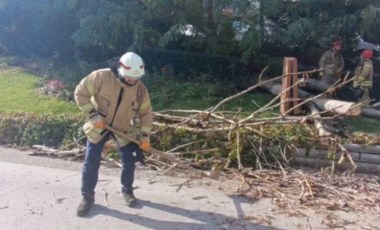 Otoyola devrilen ağaç, trafiğin aksamasına neden oldu