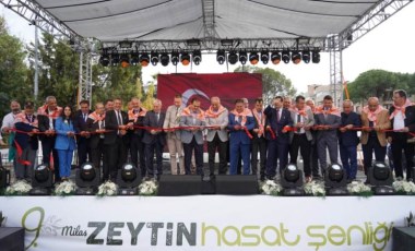 Milas’ta zeytin hasadı coşkusu