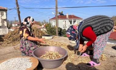 Edirne'de  zorlu hasat mesaisi başladı:  'Fakirin eti'