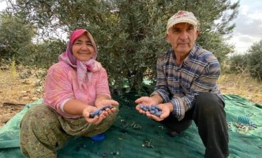 Antalya'da hasat şarkı ve türküler ile başladı