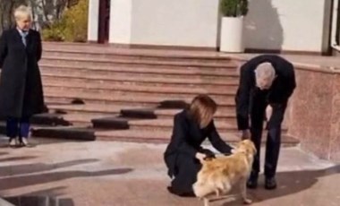 Devlet Başkanı'nın elini köpek ısırdı: Protokol alt üst oldu