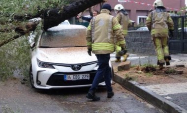 Kartal’da otomobillerin üzerine ağaç devrildi