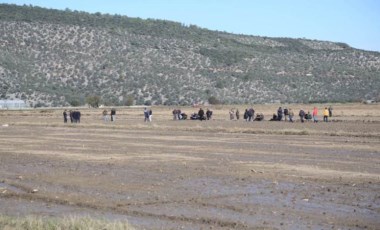 Muğla'da çift sürdüğü tarlada ölü bulundu