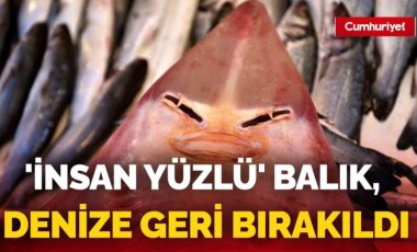 Nesli azalan tür olan 'insan yüzlü balık' ağlara takıldı (23 Kasım 2023) (Video Haber)