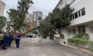 İstanbul’da fırtına: Ağaç binanın üzerine devrildi