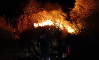 Antalya'da korkutan yangın... Söndürüldü, rüzgarın etkisiyle yeniden başladı!