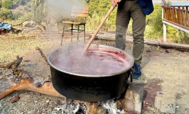 Muğla'da kazanlar kaynamaya başladı: Daldan sofraya ekşi yolculuk...