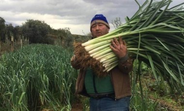 35 yıl sonra ata tohumlarıyla sebze yetiştirmeye başladı